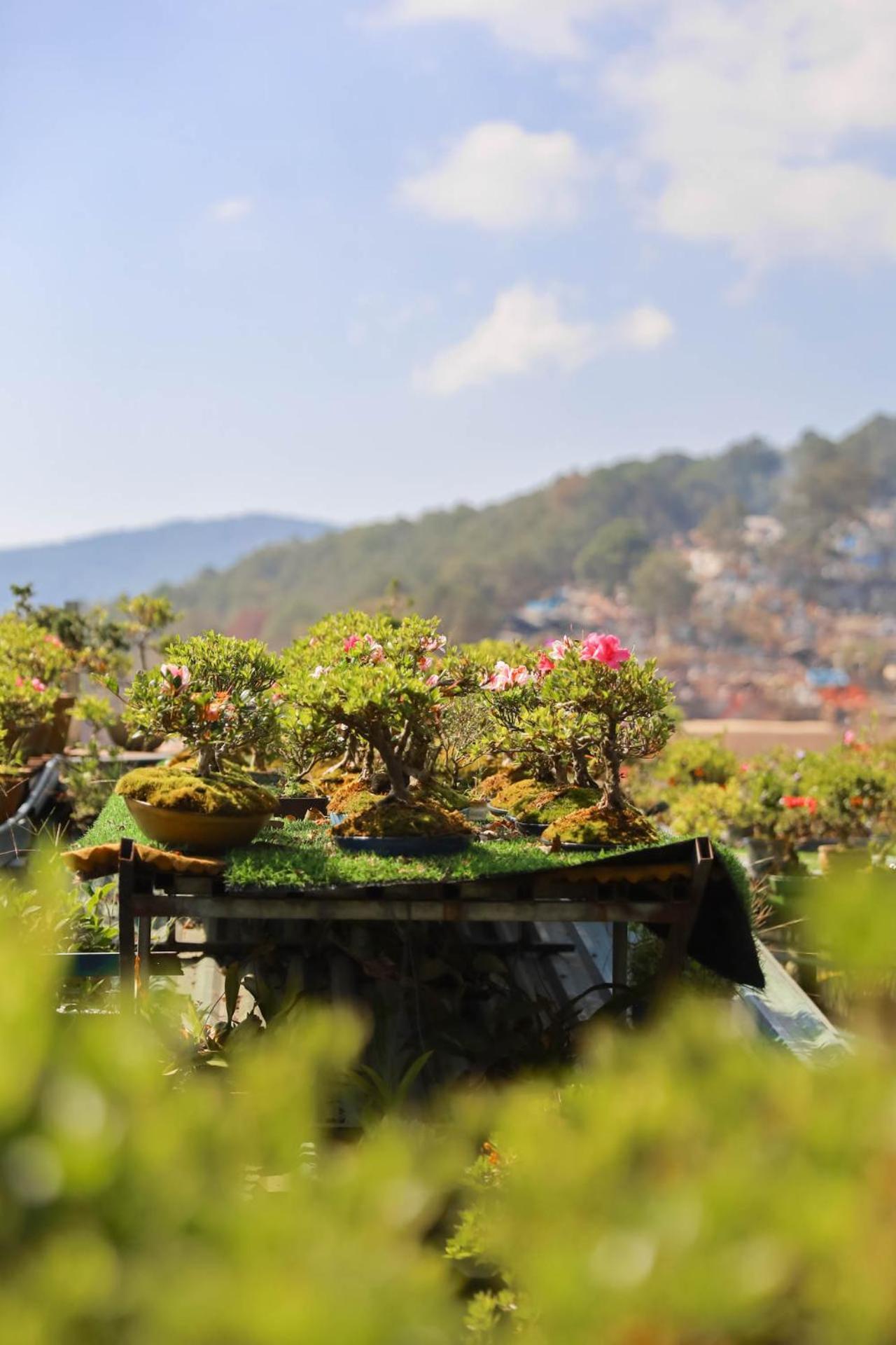 Ziczac Homestay Dalat Exterior foto